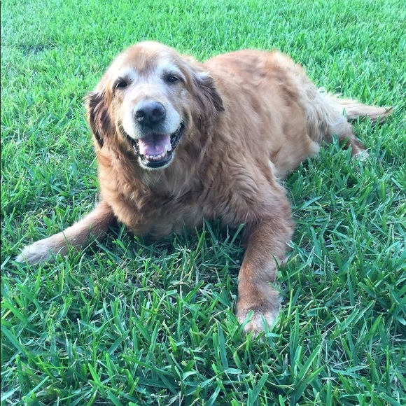 Meet your Posher, Christine - Picture 1 of 1